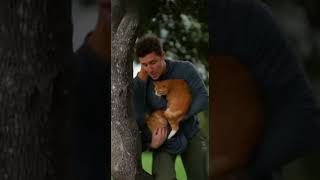 Kind man saves cat from tree! #kind #nice #respect #cat #wonderfulman