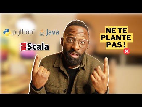 Vidéo: Quel est l'ancien Python ou Java ?