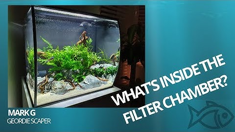 FLUVAL FLEX -  FILTRATION UPGRADE AND HANDY INLET GRILL TIP 2020
