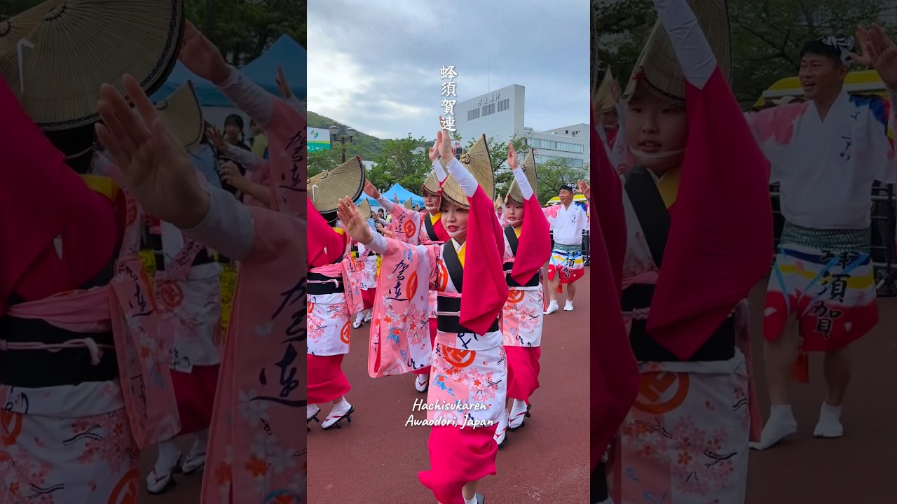 【みんなでご一緒に!】蜂須賀連 #阿波おどり #dance #japan
