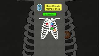 How to Remember Heart Sounds Auscultation [Nursing Assessment  Stethoscope]