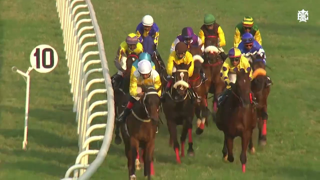 ANTIBES | The Byerley Turk Stakes