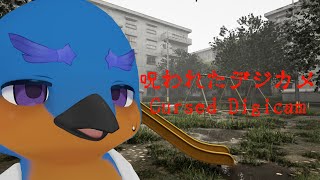 【呪われたデジカメ】このカメラ除霊機能ついてます？【Chilla's Art】