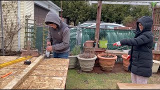 How To Make Straight Cut Plywood Or OSB | Featuring DeWalt Cordless Saw & My Mom | Ep4 Patio Project