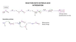 Amines 4b  Aliphatic Nitrosylation