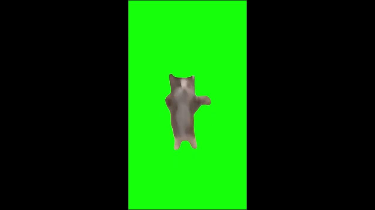 Happy Cat Jumping Meme Green Screen (10 hours) Normal Speed YouTube