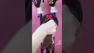 24 De Agosto De 2022