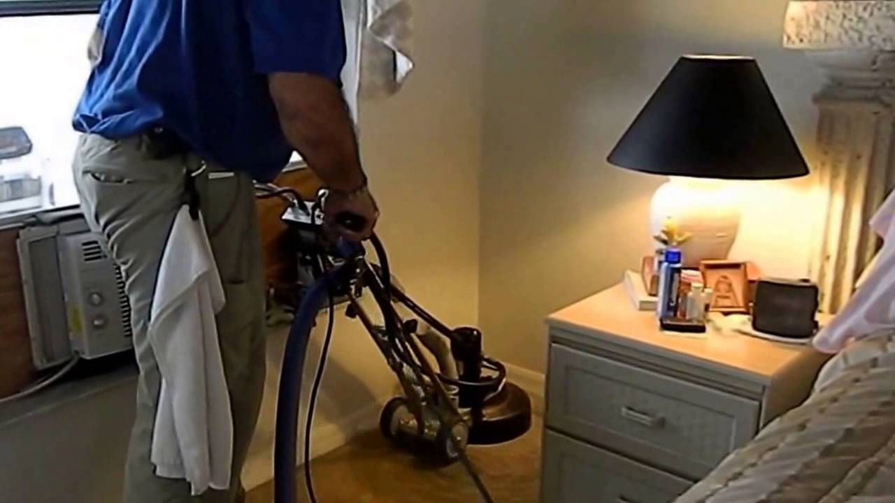 Rug Cleaners Naples Fl at Dwight Lindsey blog
