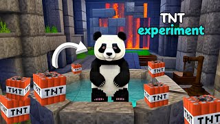 minecraft tnt experiment v50 #minecraft #meme #memes #shorts #viralvideo