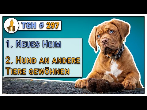 Video: Proin - Medikamenten- Und Verschreibungsliste Für Haustiere, Hunde Und Katzen