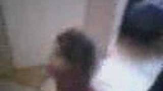 None (Video003.wmv)