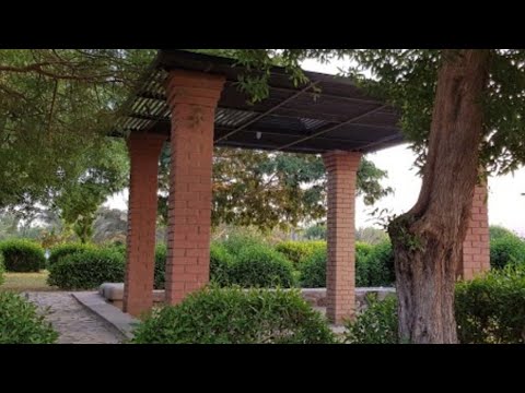حديقه الملك فهد أكبر حديقه بالمدينه المنورة