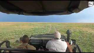 Liuwa Plain National Park, Zambia