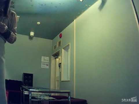 R Sound Design／妄想論者【うたスキ動画】