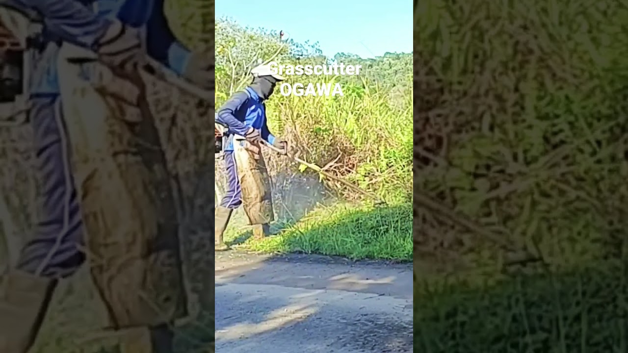 Early in the morning with OGAWA Grass cutter