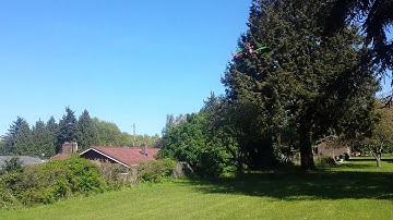 Short hover test Chinese GPS Naza M Lite