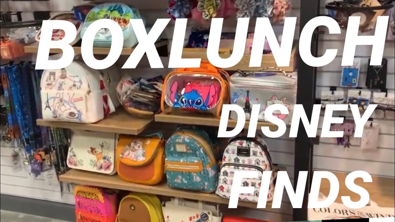 Disney Loungefly Boxlunch Exclusives and other Disney merch