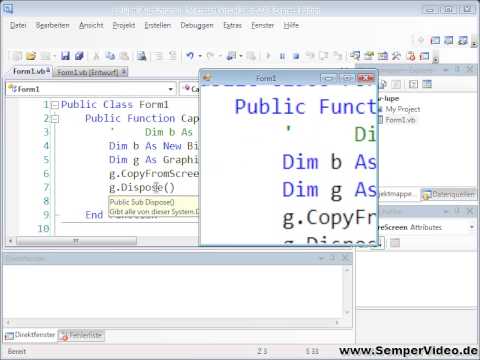 Bildschirmlupe Teil 2 von 2 (Visual Basic 2008 1-106)