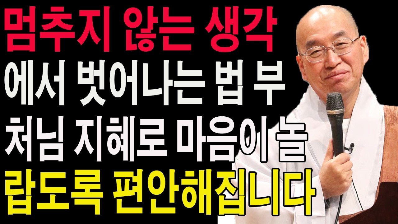 멈추지 않는 생각에서 벗어나는 법, 부처님 지혜로 마음이 놀랍도록 편안해집니다