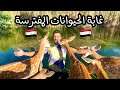 روحنا أول غابة في مصر مش هتصدقوا انه موجود