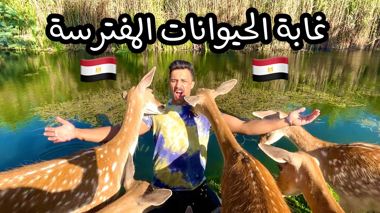 روحنا أول غابة في مصر !! مش هتصدقوا انه موجود😱🦇