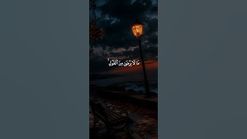 اكتب شيء تؤجر عليه 😴💚 قران كريم | ياسر الدوسري