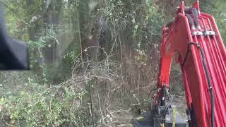 Reclaiming an overgrown fence line with Kubota kx040 and vmc 42” cutter