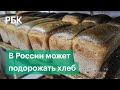 Хлеб дорожает. С августа цены могут подняться на 7-12%