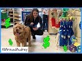 Buying My Dog, Logan The Adventure Dog, Everything He Touches! / AllAroundAudrey