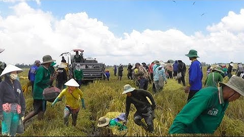 máy cắt 93 và máy 70 cắt độ ô em công 500K vì chuột cắn hết quá thất tập71 # maibangtv