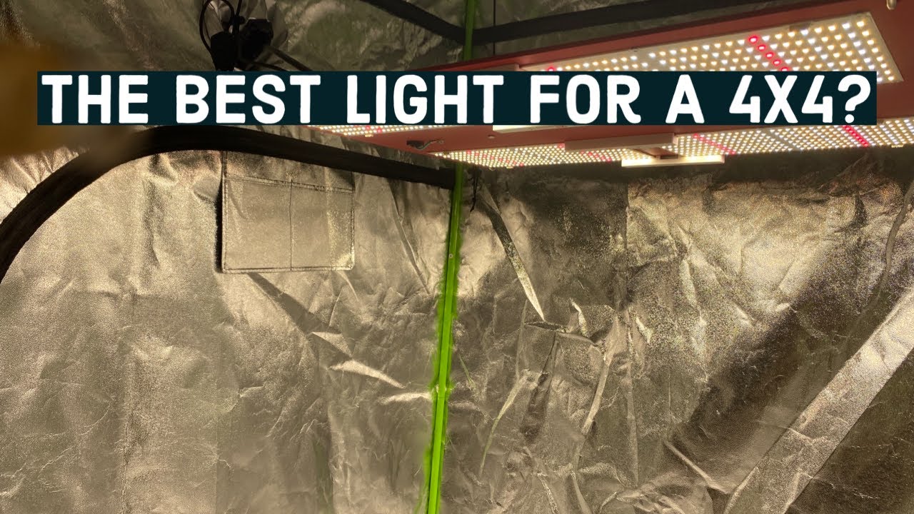 Лучший светодиодный светильник для выращивания растений в доме 4x4