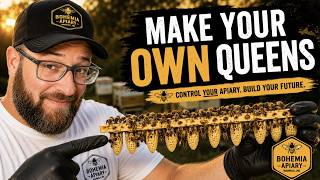 Make your Own Queen Bees