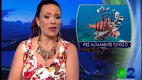 CBS News2 Espanol, con Erika Romo. Abril 21,2015.