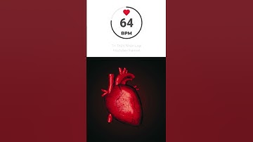 Tim Người Đập Bao Nhiêu Lần Mỗi Ngày? | Sự Thật Bất Ngờ Về Cơ Thể