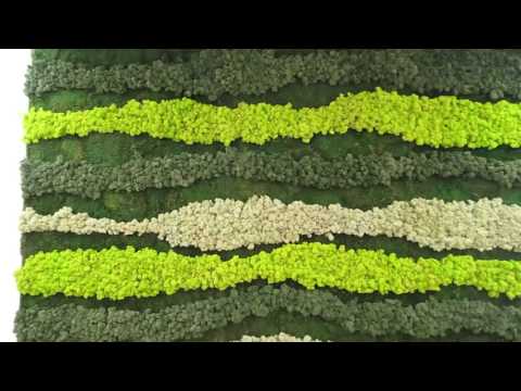 Fitversal Вертикальное озеленение 3