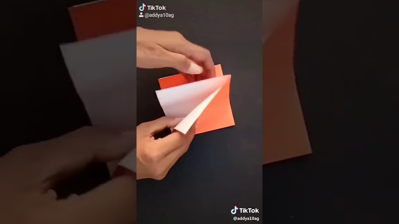 A butterfly is made by a paper TIKTOK YouTube