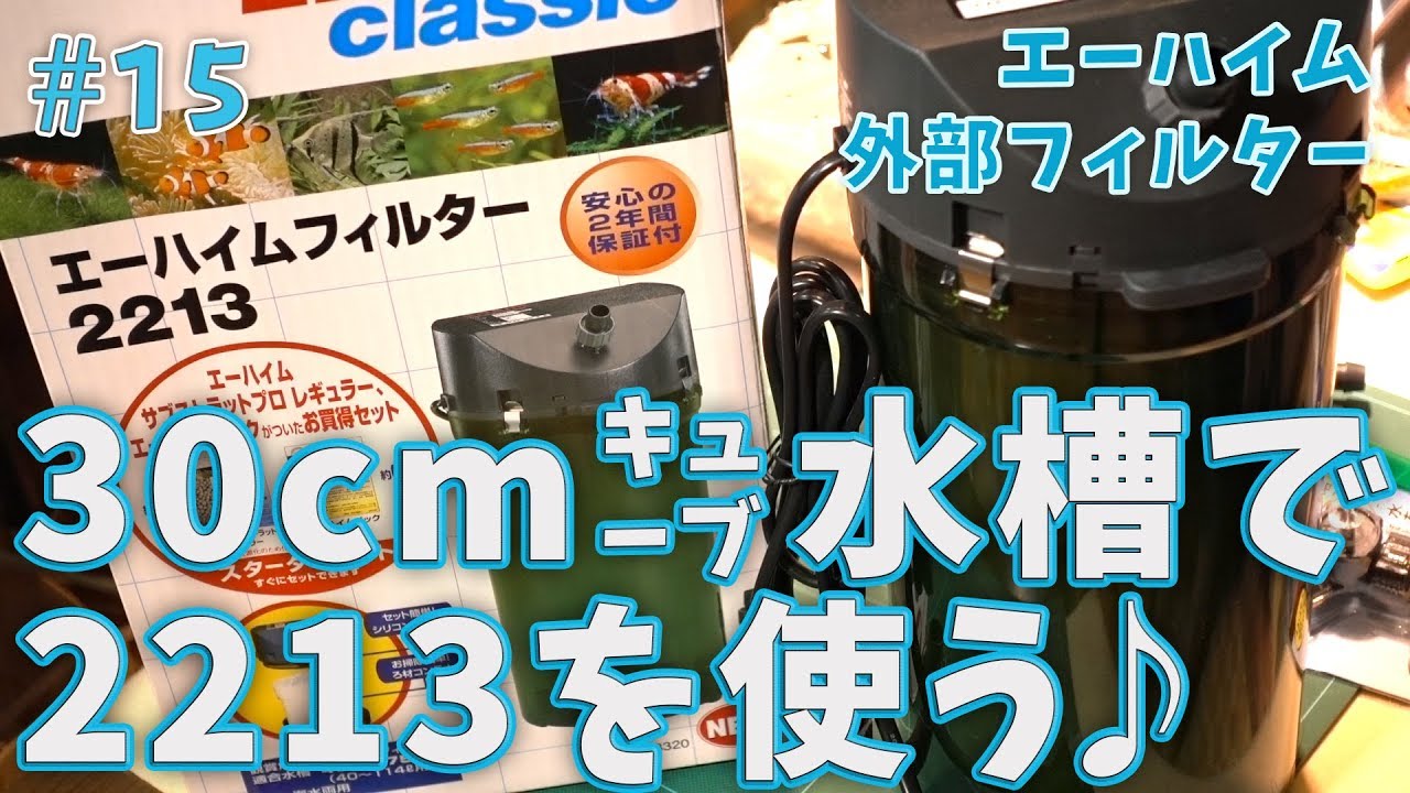 超初心者アクアリウム 15 30cmキューブ水槽でエーハイム2213を使う 水草メイン Youtube