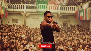 Download Lagu 30+ ARTIESTEN VIEREN TOP NOTCH 30 IN DE PARADISO  MP3