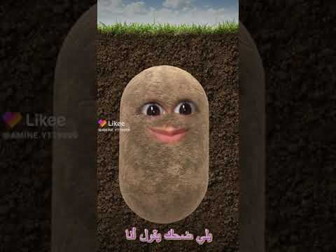 يهيهيه 1