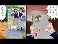 【総集編】弱っている薄汚れた柴犬が！見つけたDQN女子高生「うわっ！キタネー犬ww」自分「ムッ！」 →すると愛犬がいい仕事したww