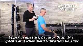 Upper Trapezius, Levator Scapulae, Splenii and Rhomboid Vibration Release