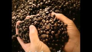 Master Birdy Ice Coffee Best Coffee 30sec.mp4