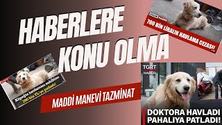 Köpeğin Havlaması Saldırması Sonucu Maddi Ve Manevi Tazminat Davası. Köpek Sahibinin Dikkatine