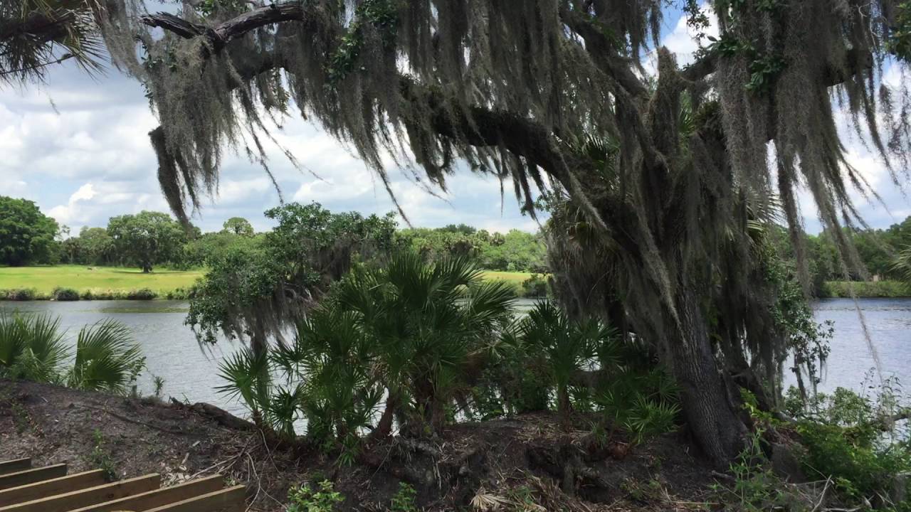 Private Island at RiverLandings RV Resort, LaBelle, FL YouTube