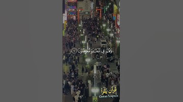 اقترب للناس حسابهم #سورة_الأنبياء #القرآن_الكريم #ياسر_الدوسري #اكسبلور#راحة_نفسية#لايك #تلاوة_خاشعة