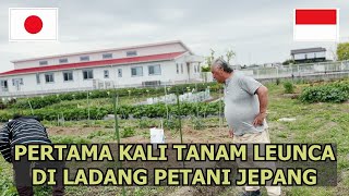 NGGAK NYANGKA PETANI JEPANG TAU TENTANG INI!