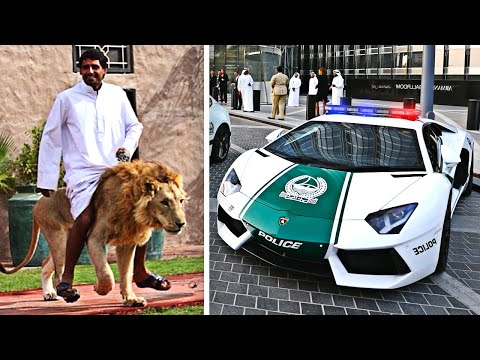 Insane Things You'll Only See In Dubai