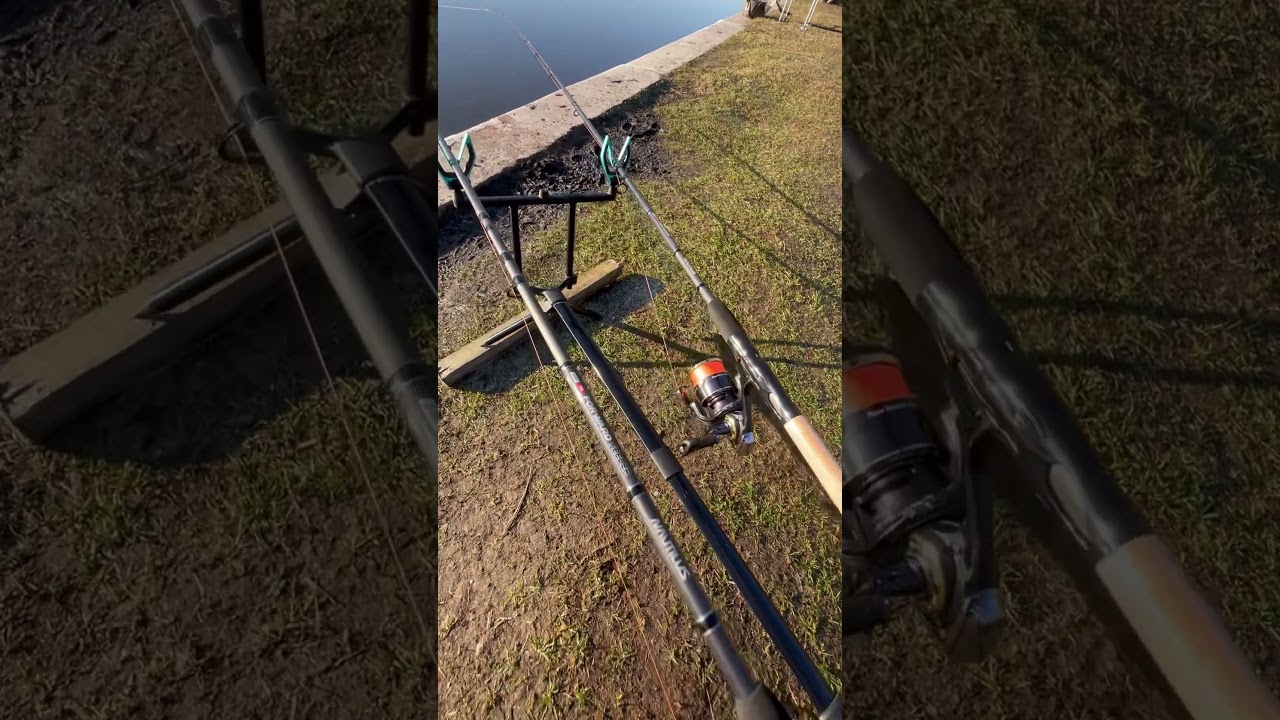 Наутилус Форвард в комплекте с катушкой Репоинт фидер и Авиор фидер 🎣  