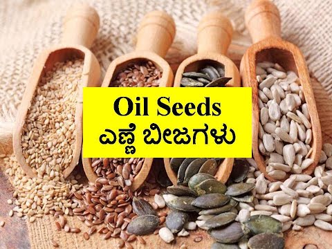 Identify Oil seeds Kannada| Agriculture & Veterinary Practical Exam Specimens | KCET Practical