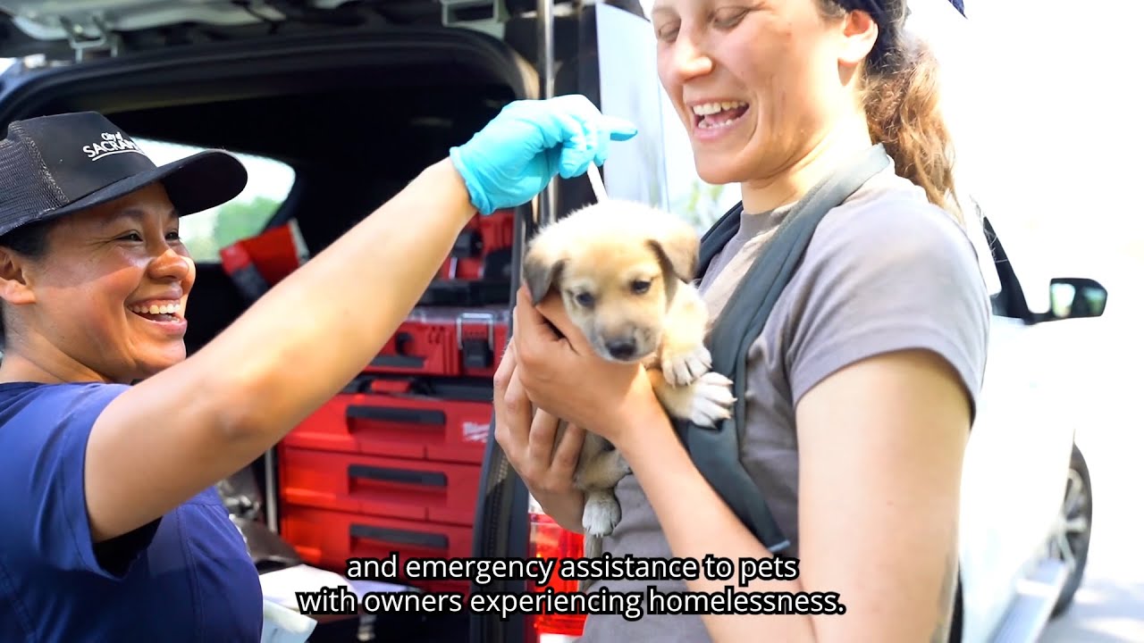 Help shelter and community pets in need - YouTube